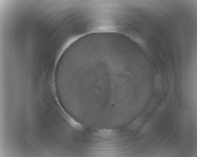 X0000063501470200602101846