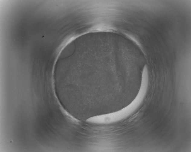 X0000063501471200602101846