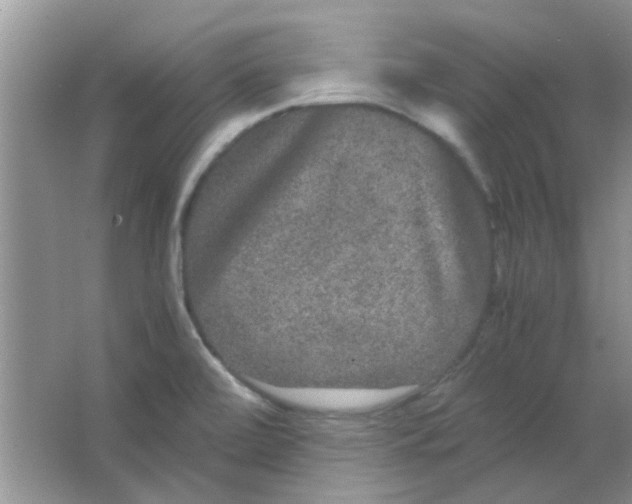 X0000063501472200602101846