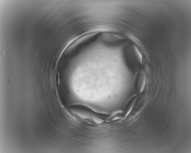 X0000063501473200602101846