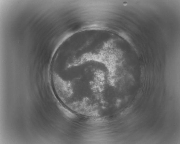 X0000063501474200602101846