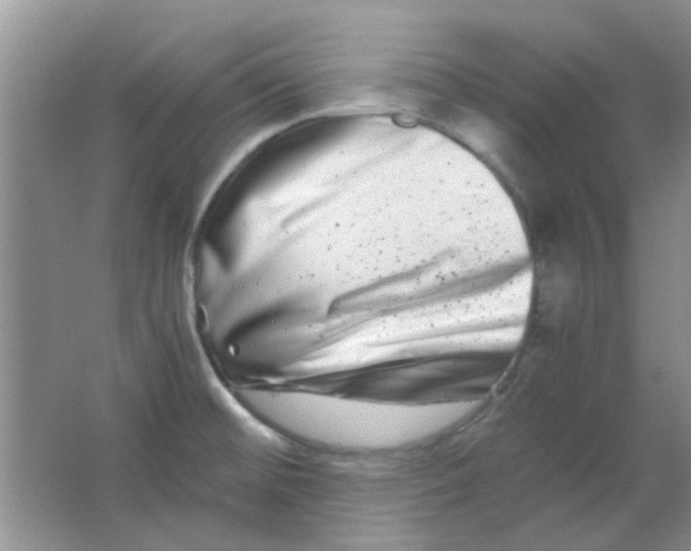 X0000063501476200602101846