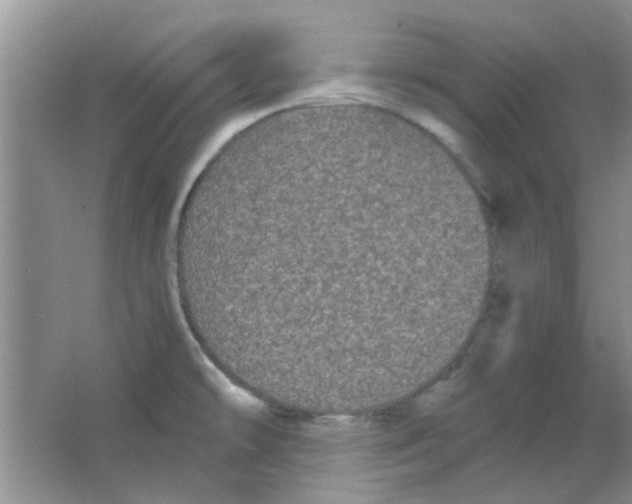 X0000063501478200602101846