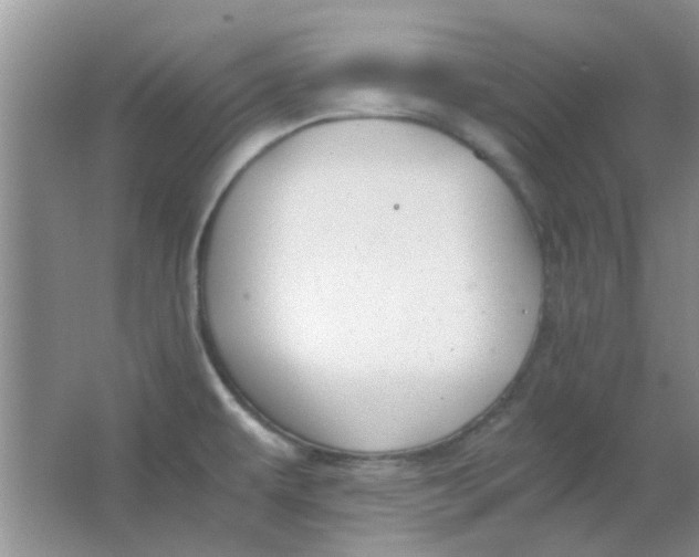 X0000063501479200602101846