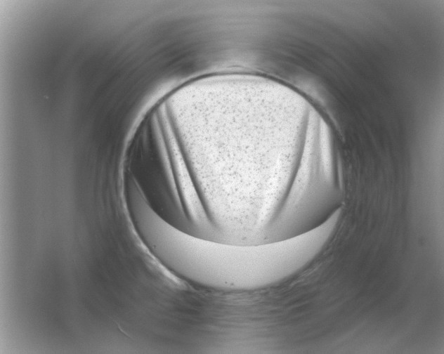 X0000063501480200602101846