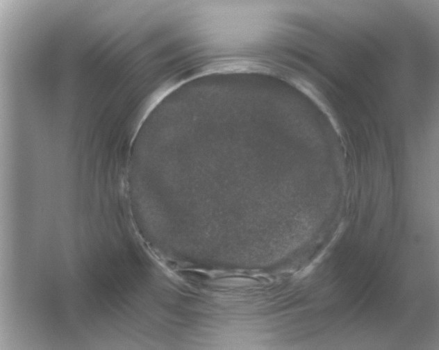 X0000063501481200602101846