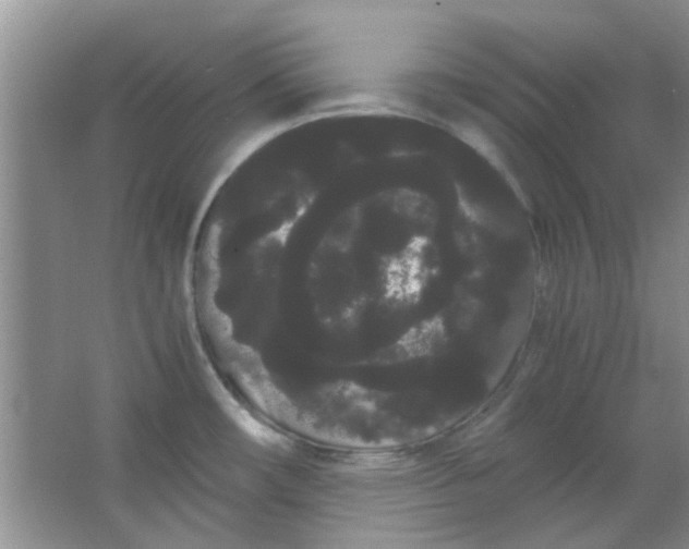 X0000063501482200602101846