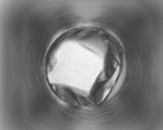 X0000063501483200602101846