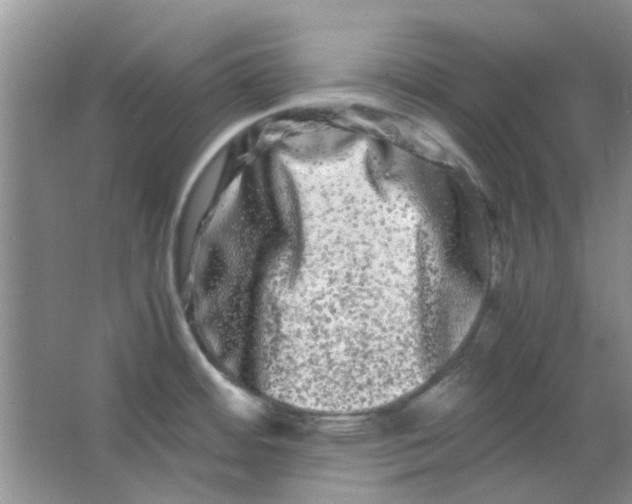 X0000063501484200602101846