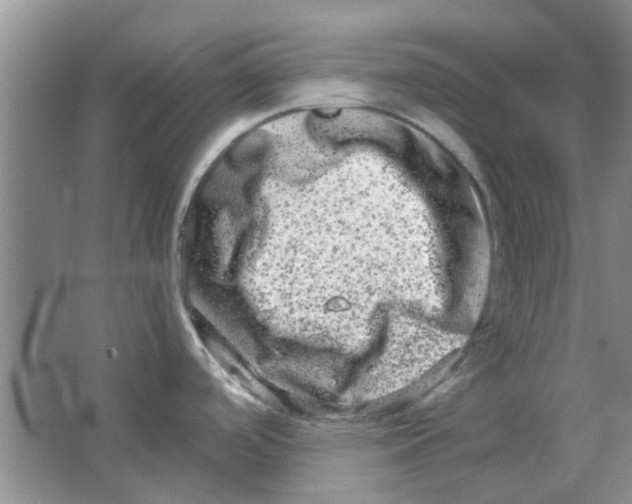 X0000063501488200602101846