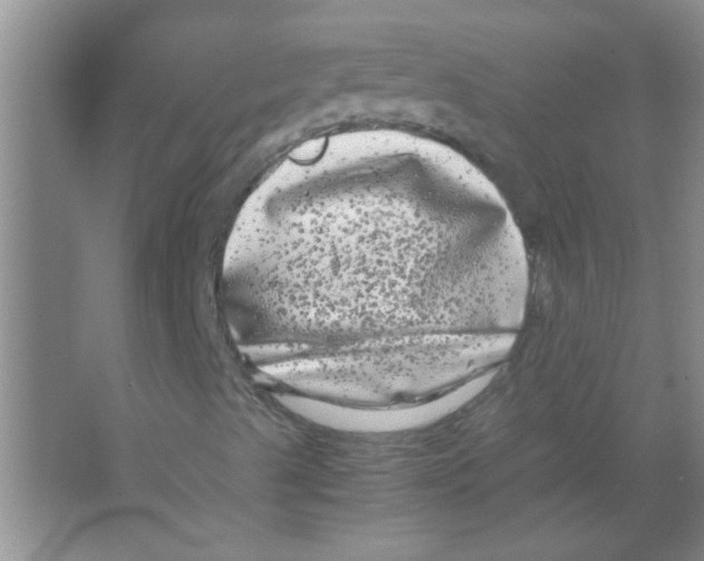 X0000063501489200602101845