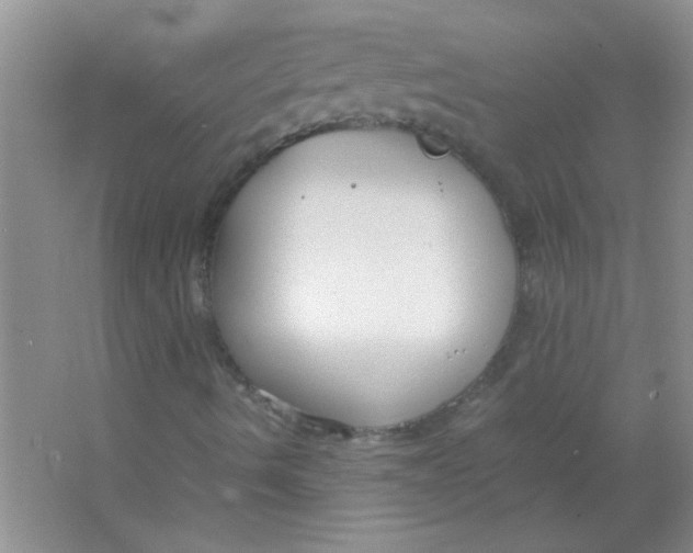 X0000063501490200602101845