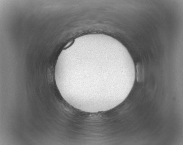 X0000063501491200602101845