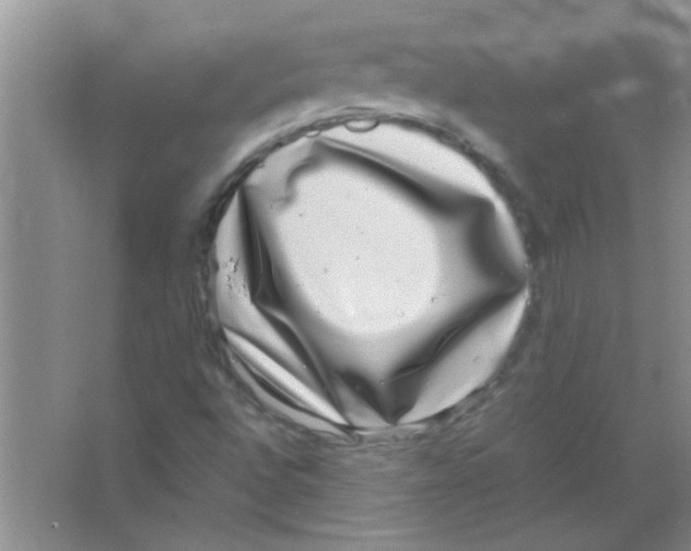 X0000063501496200602101845