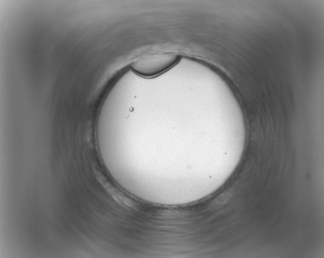 X0000063501499200602101845