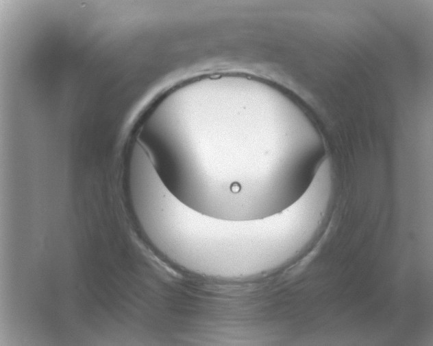 X0000063501502200602101845