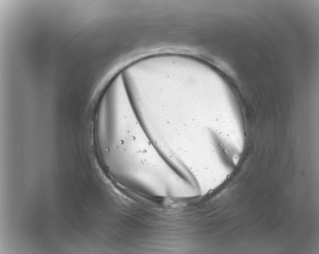 X0000063501504200602101845