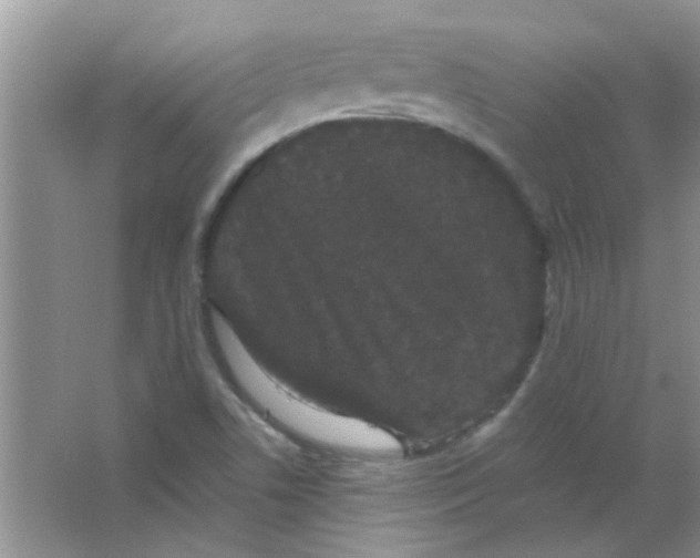 X0000063501506200602101845