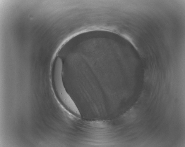 X0000063501508200602101846