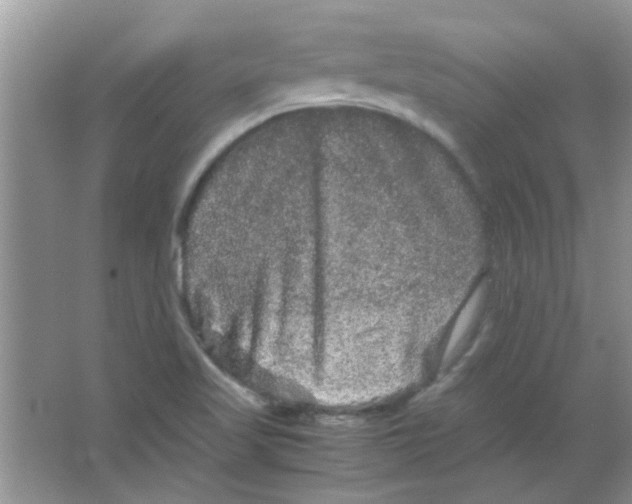 X0000063501509200602101846