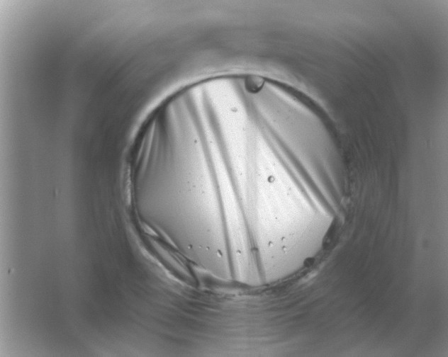 X0000063501510200602101846