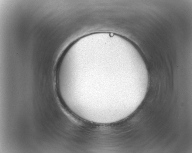 X0000063501511200602101846