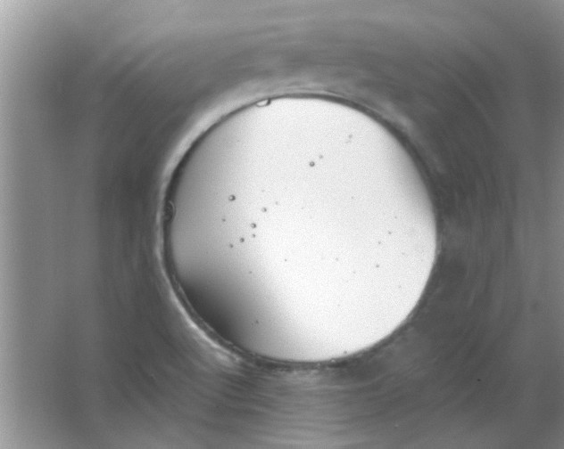 X0000063501512200602101846