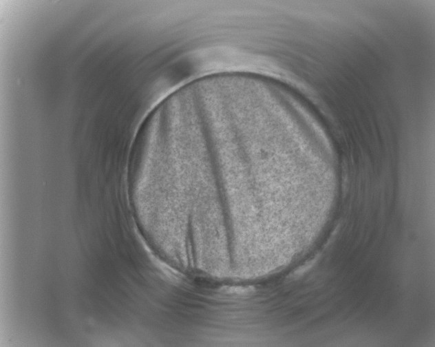 X0000063501513200602101846