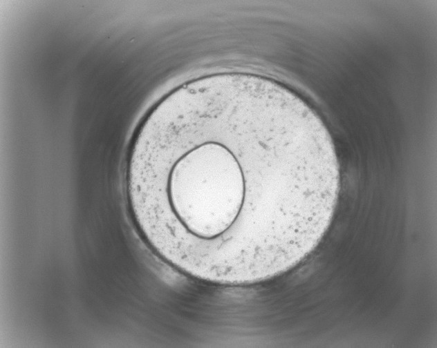 X0000063501514200602101846