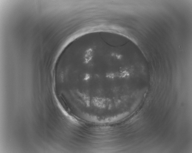 X0000063501515200602101846