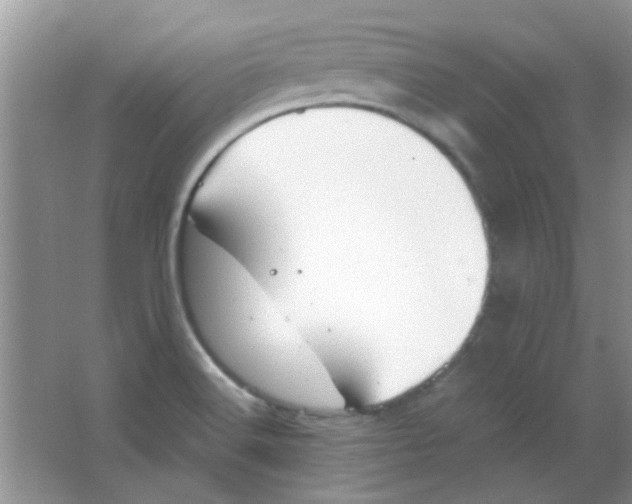 X0000063501516200602101846