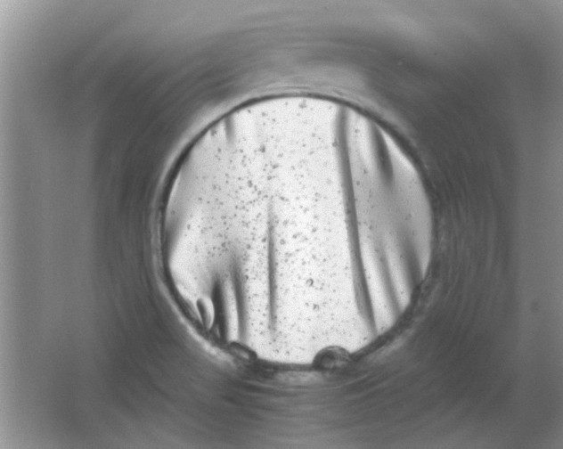 X0000063501517200602101846