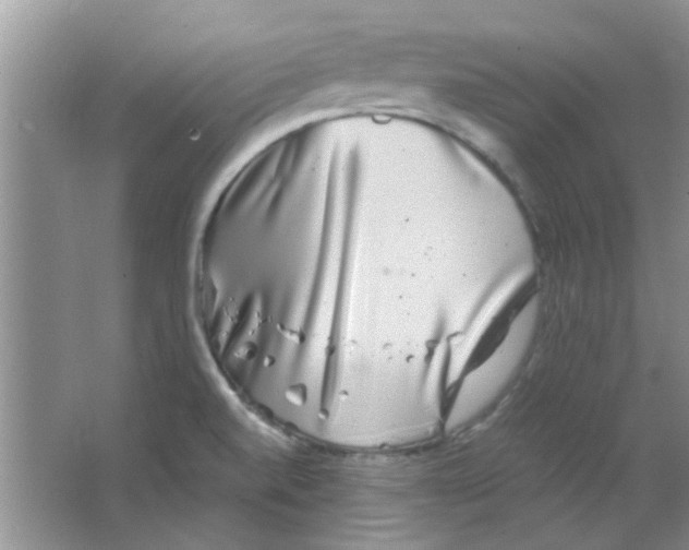 X0000063501520200602101846