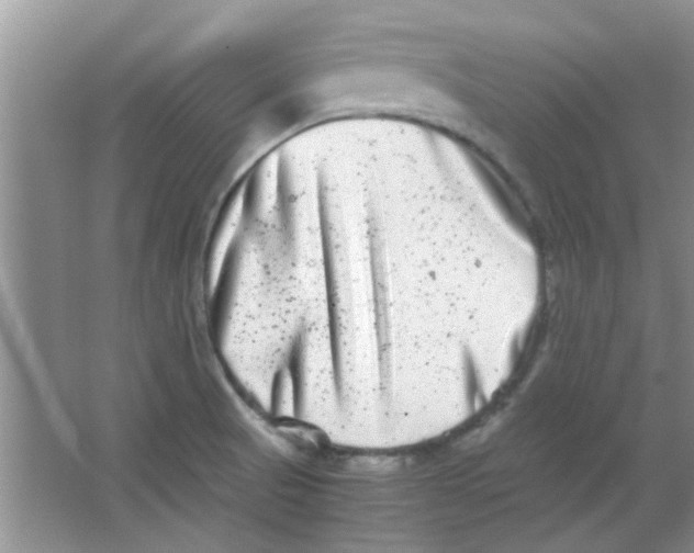 X0000063501521200602101846