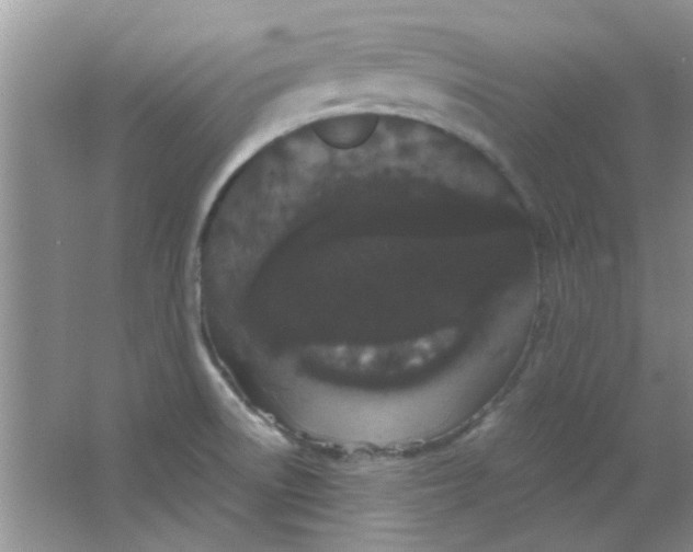 X0000063501522200602101846