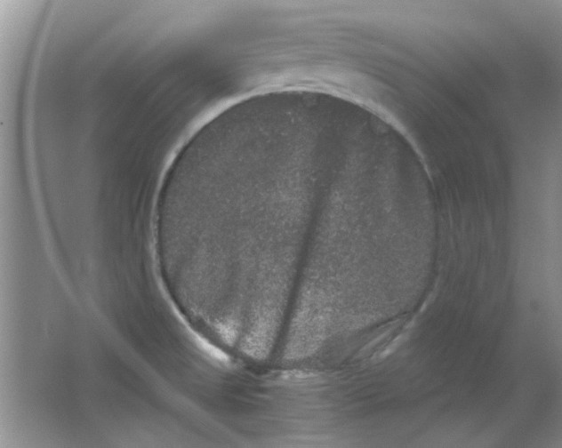 X0000063501525200602101846