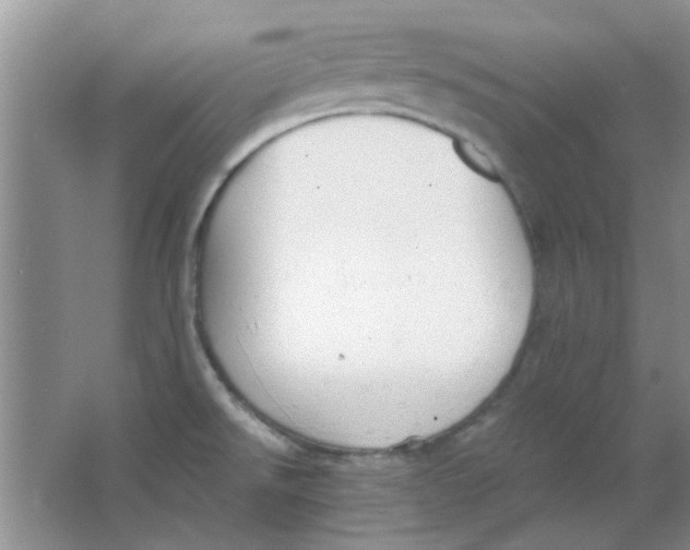 X0000063501526200602101846