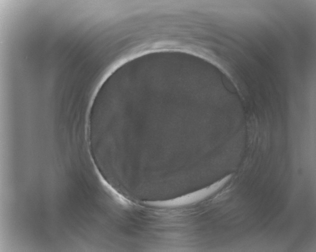 X0000063501527200602101846