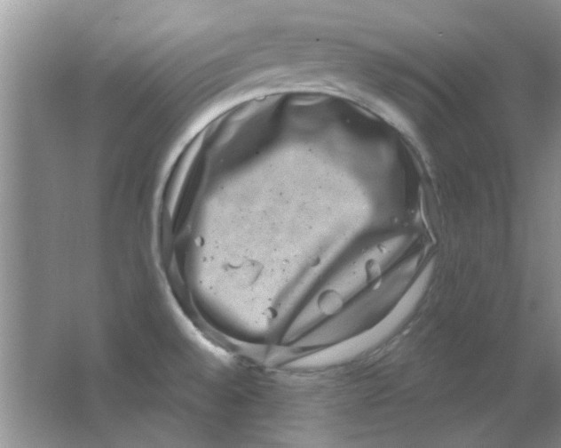 X0000063501528200602101846