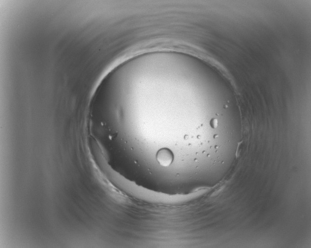 X0000063501530200602101846