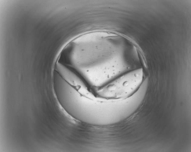 X0000063501532200602101846