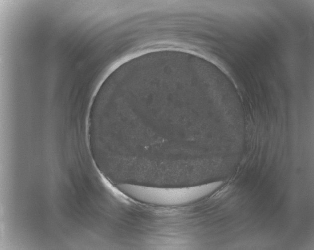 X0000063501535200602101846