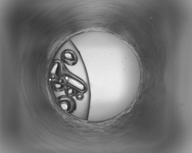 X0000063500001200602172131