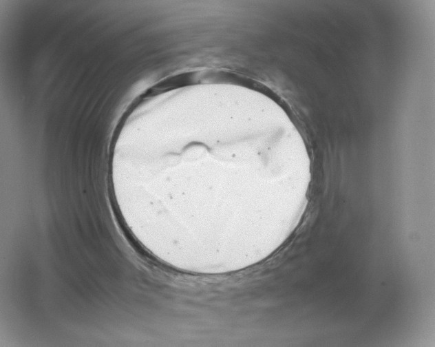 X0000063500003200602172131