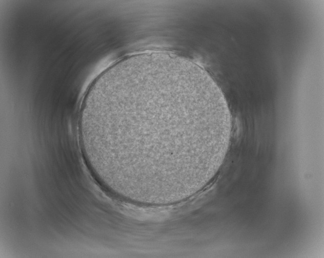 X0000063500004200602172131