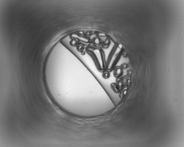 X0000063500005200602172131