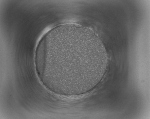 X0000063500006200602172131