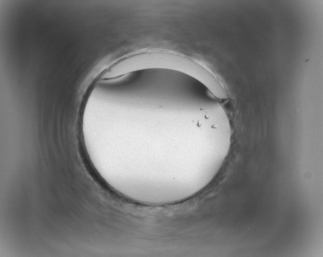 X0000063500007200602172131