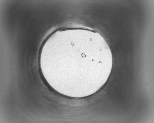 X0000063500008200602172131