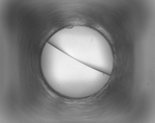 X0000063500009200602172131